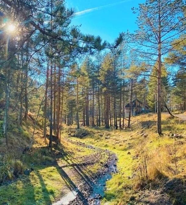 Apartament Divchy Dream Divčibare Zewnętrze zdjęcie